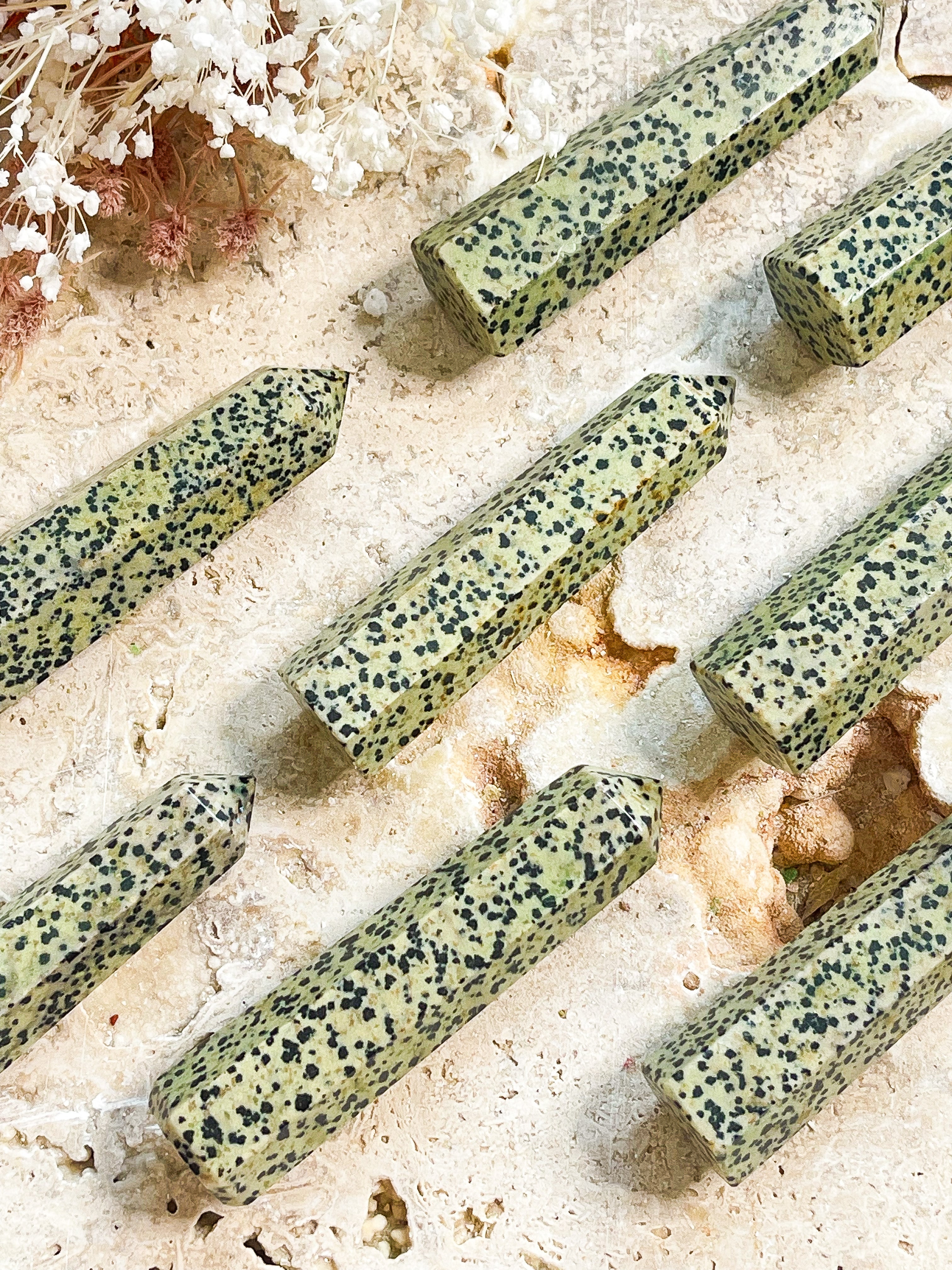 Dalmatian Jasper Generators // Grounding + Playfulness + Joy