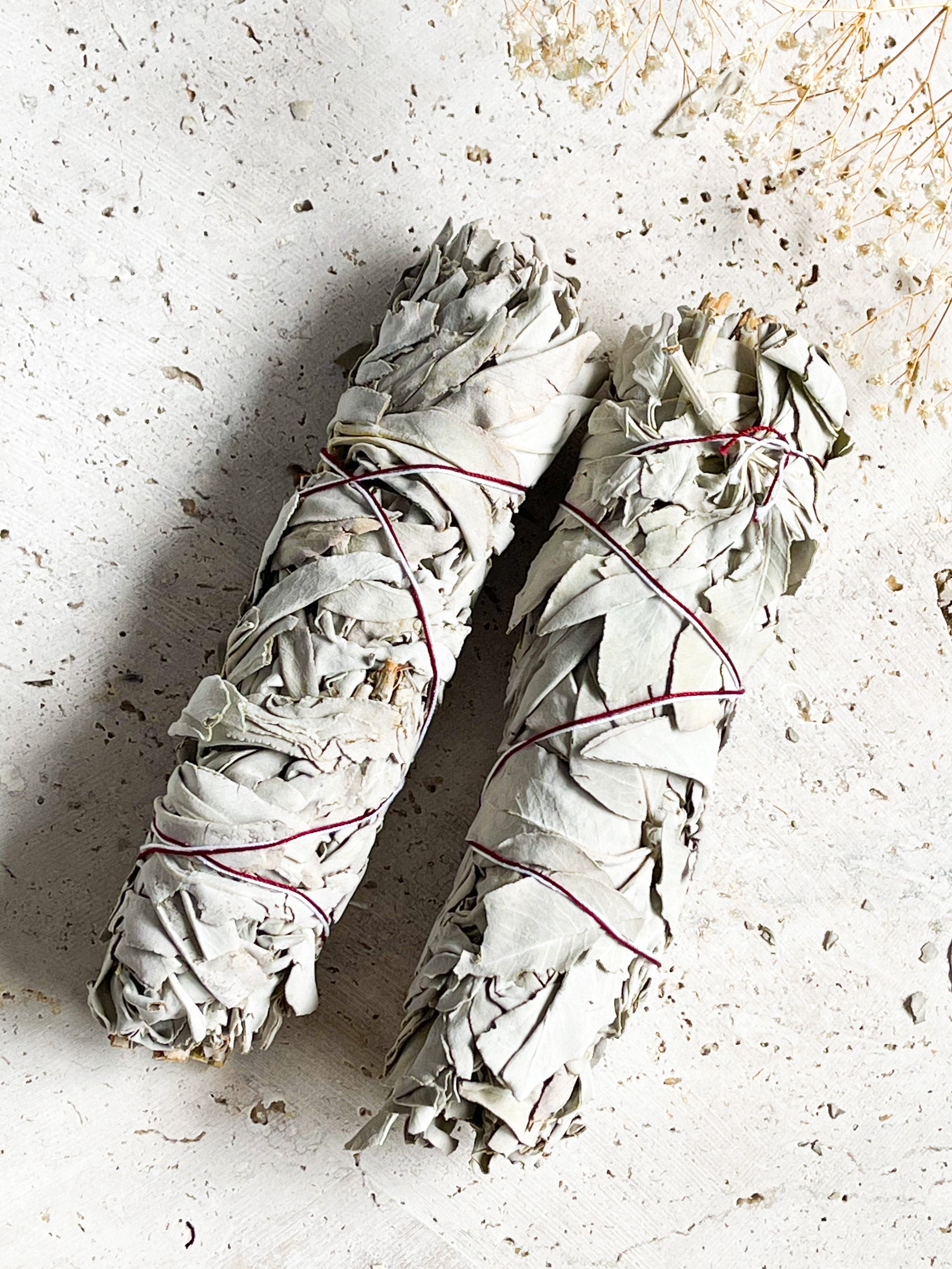 Sage Sticks (jumbo) // Energy Cleansing + Removes Negative Energy + Harmonises the Mind