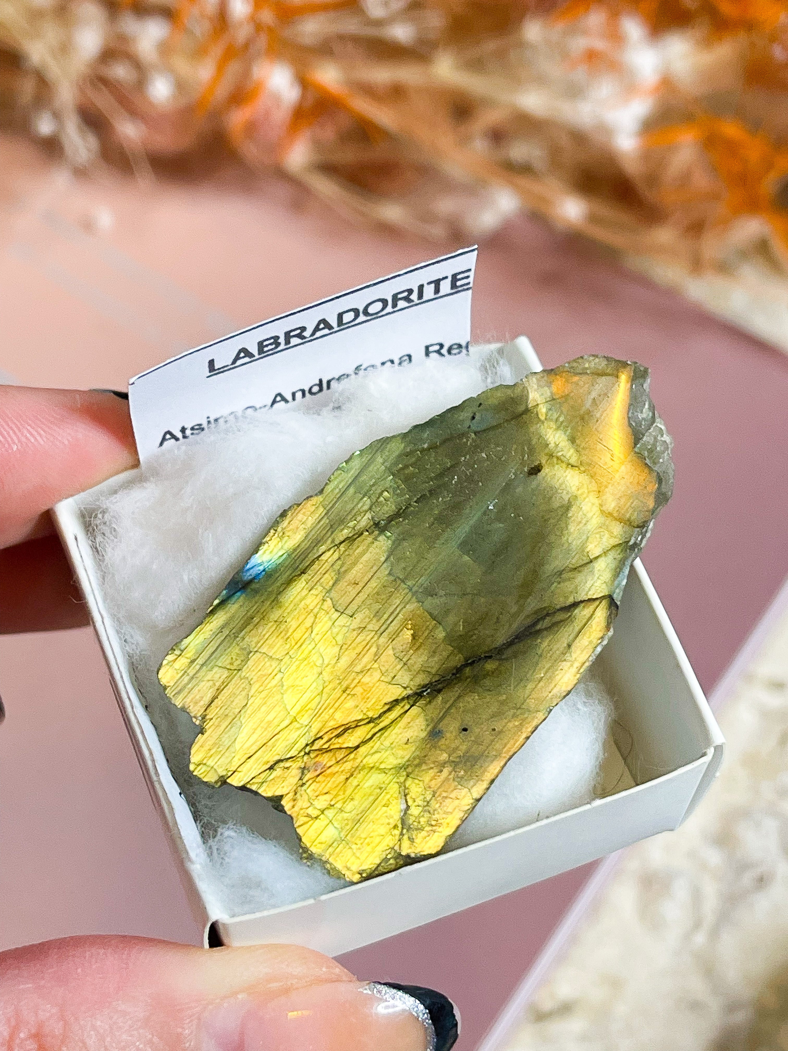 Labradorite Specimen // Mexico // Intuition + Wisdom + Protection