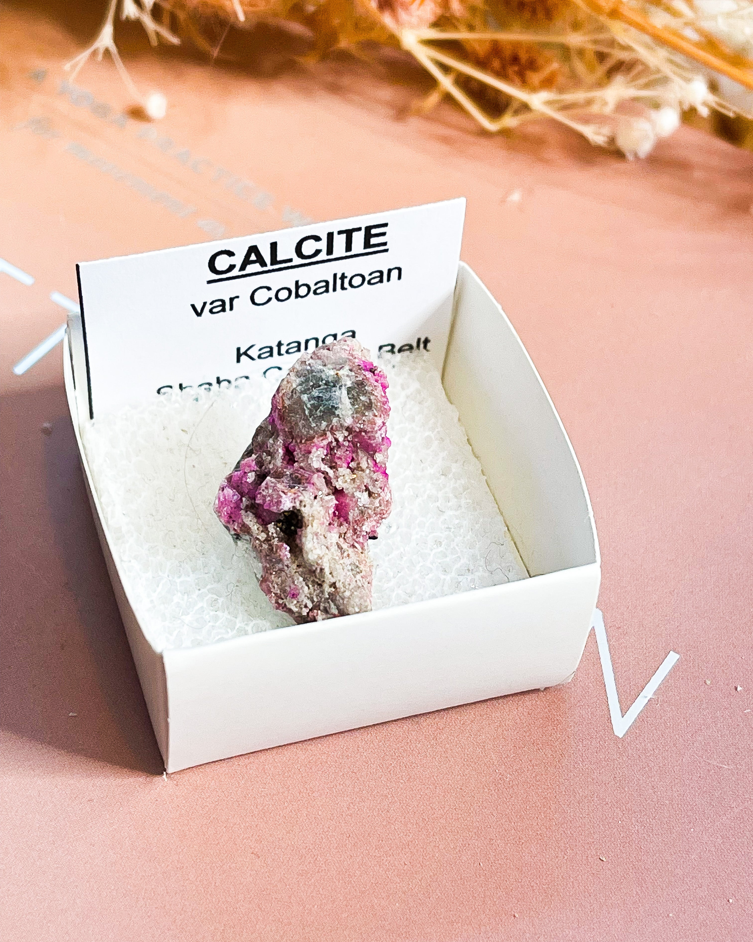 Colbalto Calcite Specimen // - Rare // Zaire // Higher Consciousness + Emotional Healing + Love