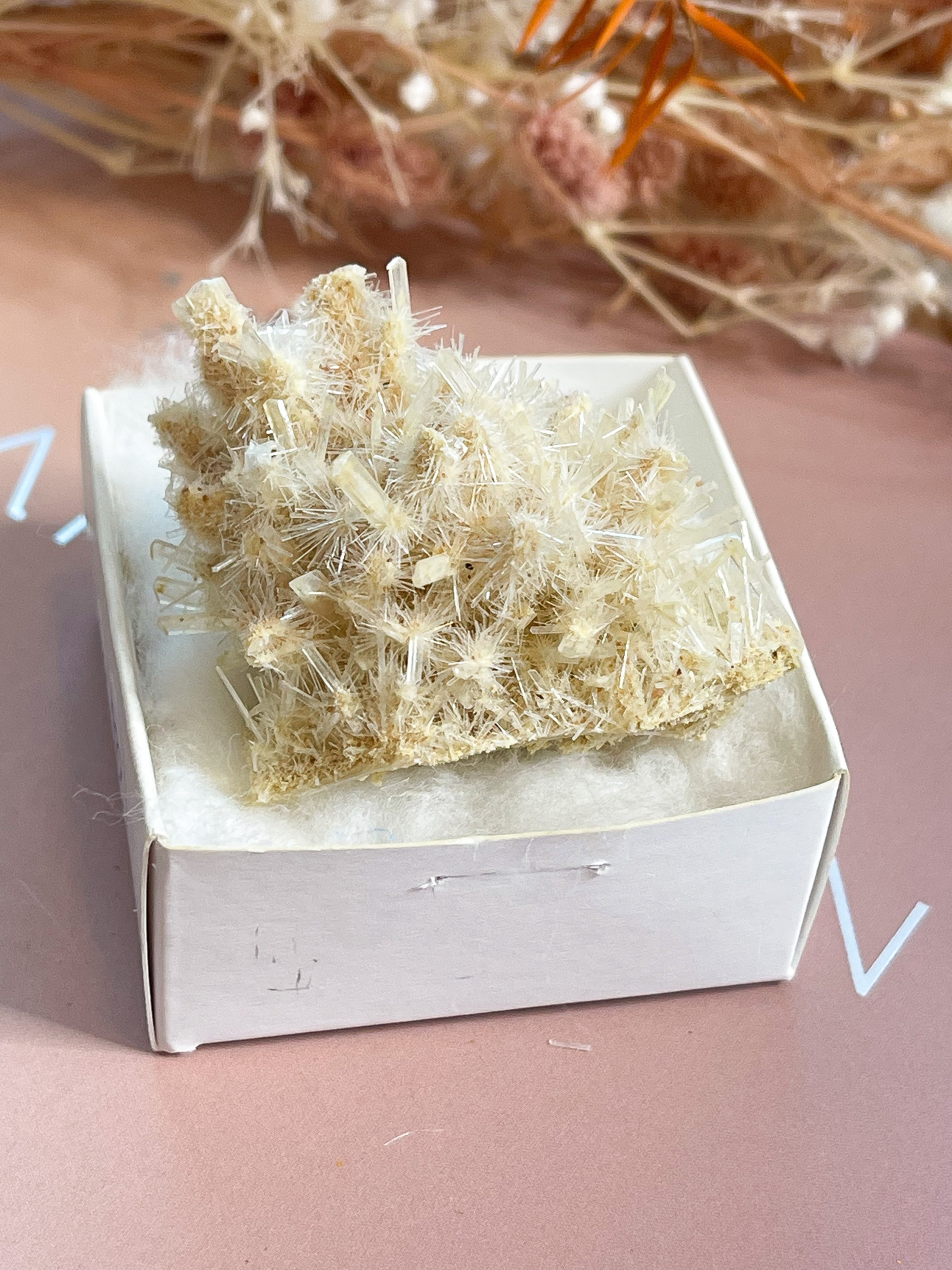 Gypsum Specimen // Australia // Focus + Grounding + Meditation