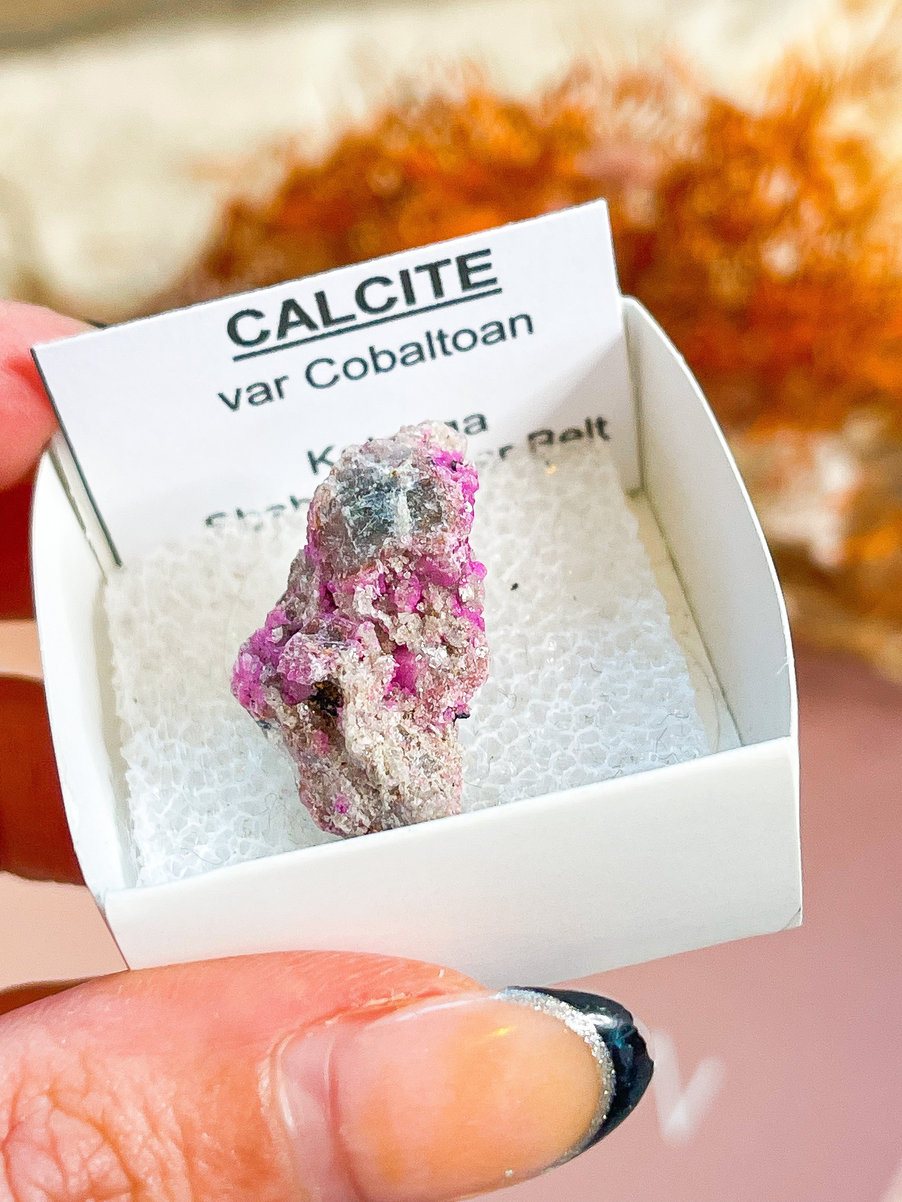 Colbalto Calcite Specimen // - Rare // Zaire // Higher Consciousness + Emotional Healing + Love