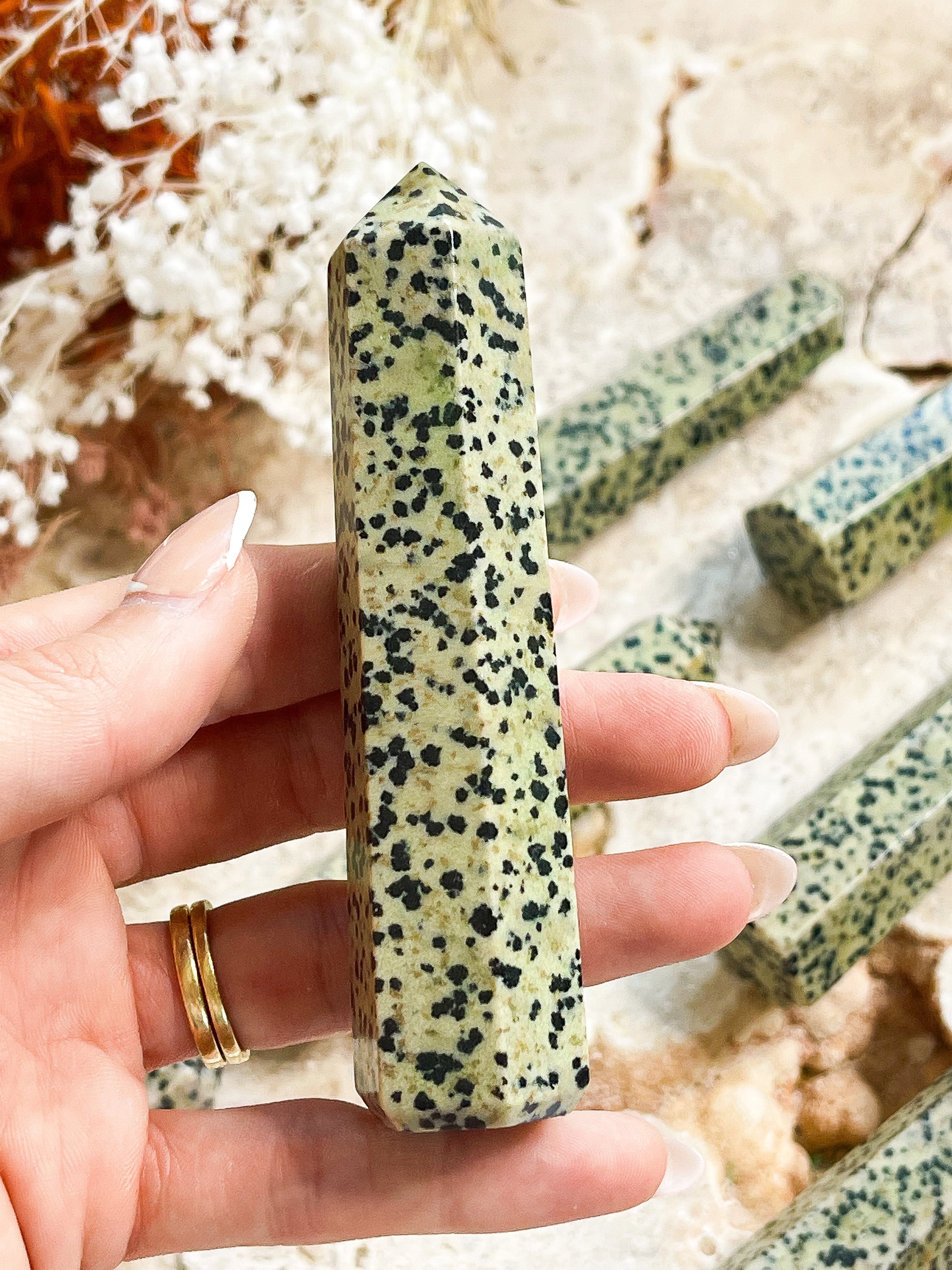 Dalmatian Jasper Generators // Grounding + Playfulness + Joy