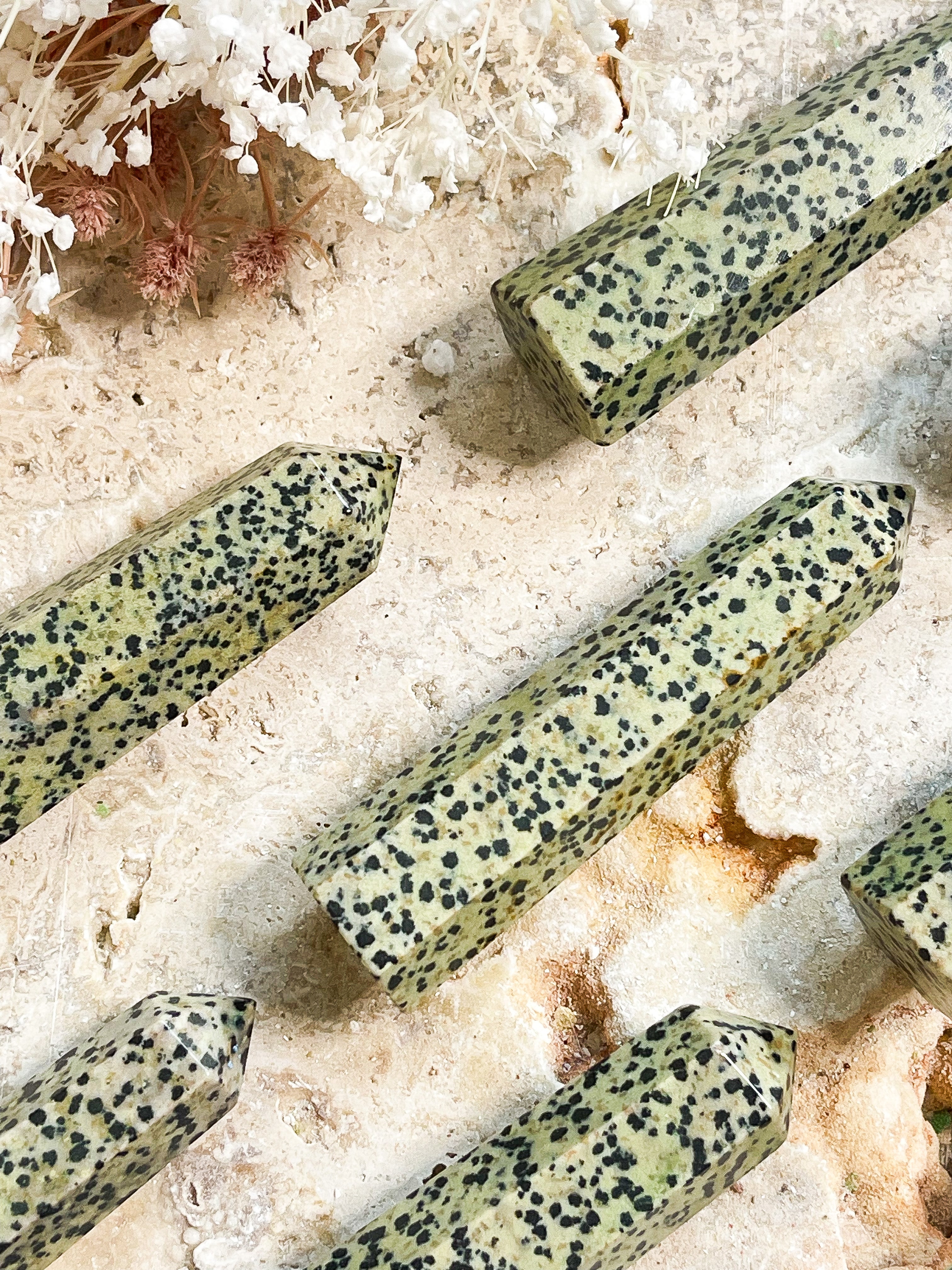 Dalmatian Jasper Generators // Grounding + Playfulness + Joy