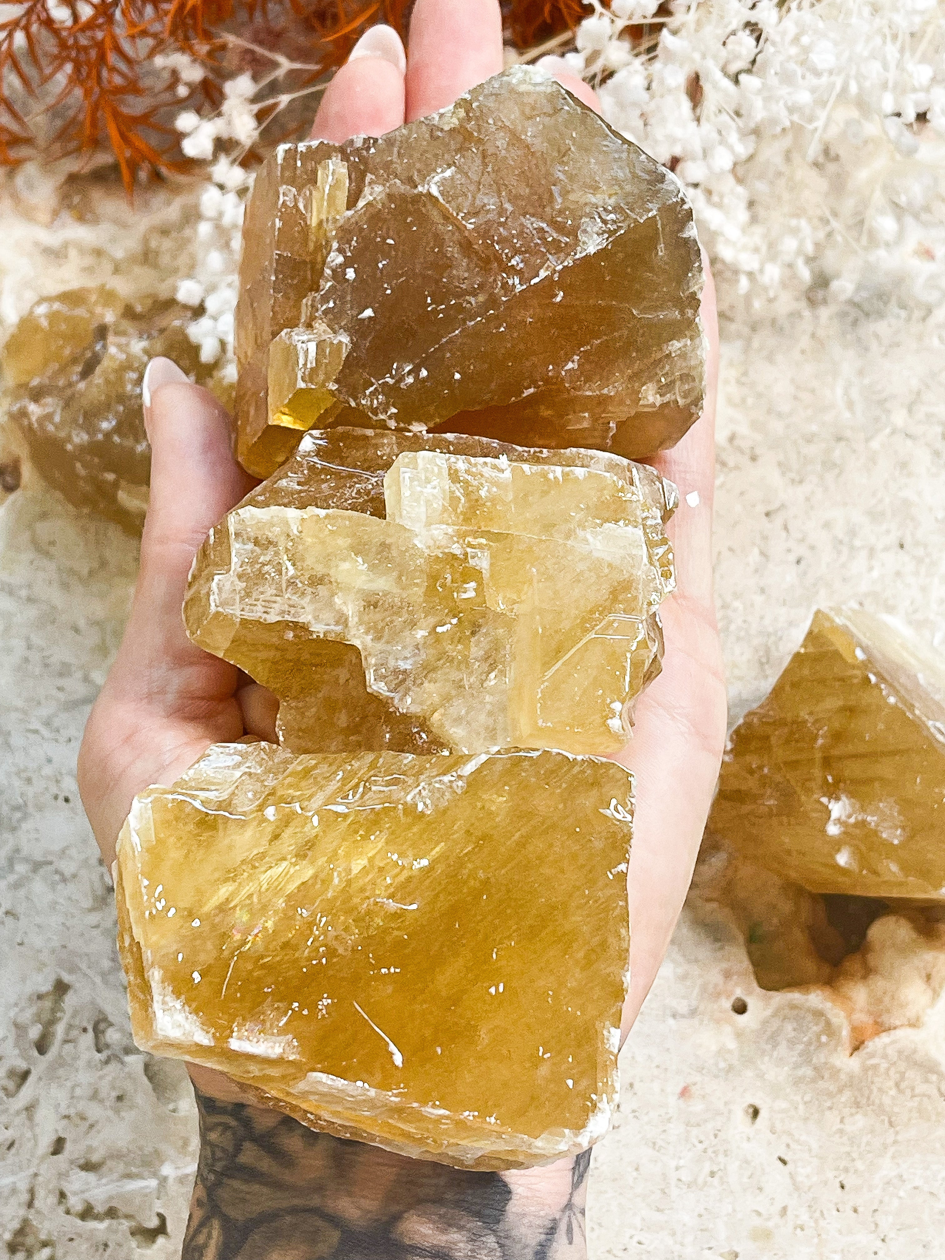 Honey Calcite Raw // Large // Focus + Creativity + Motivation