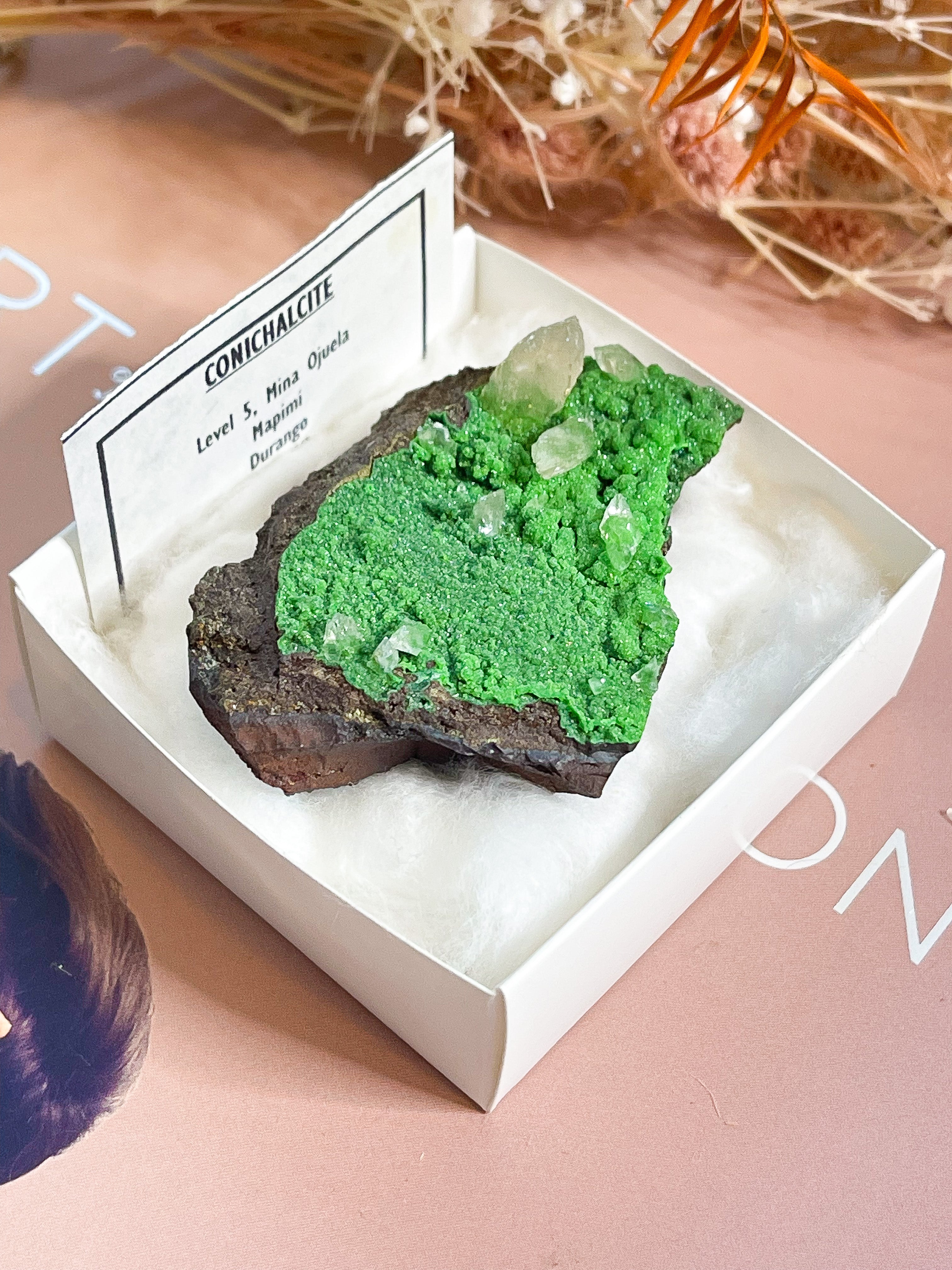 Conichalcite Specimen // Mexico // Intuition + Stability + Balance