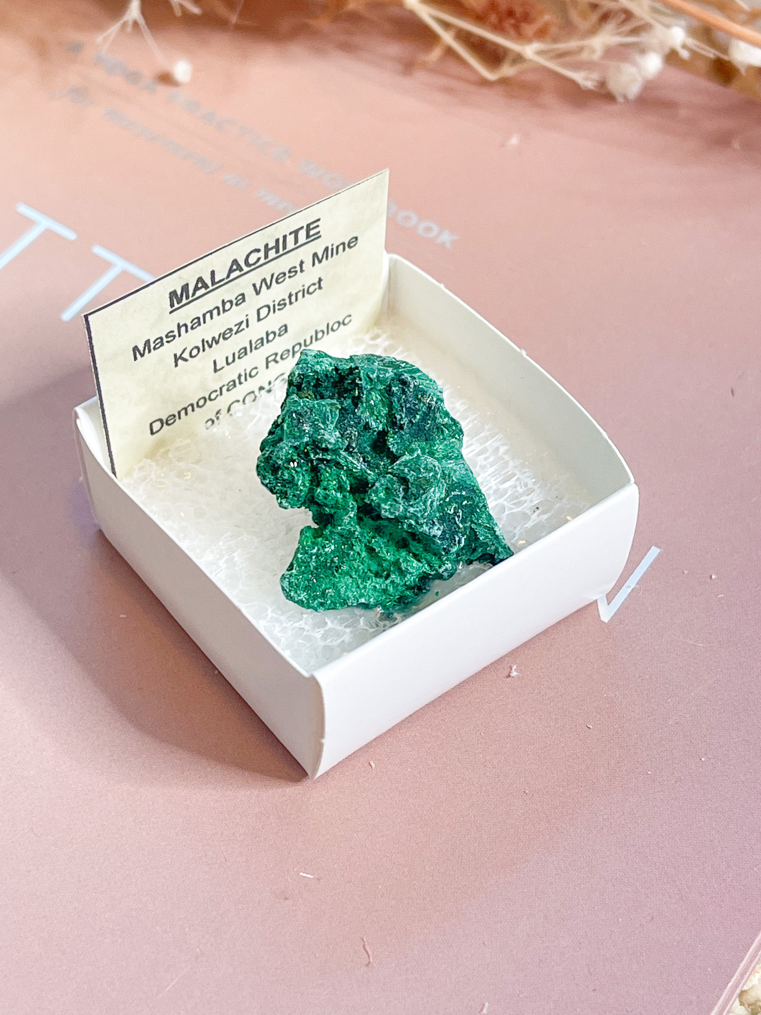 Fibrous Malachite Specimen // Zaire // Healing + Protection + Transformation