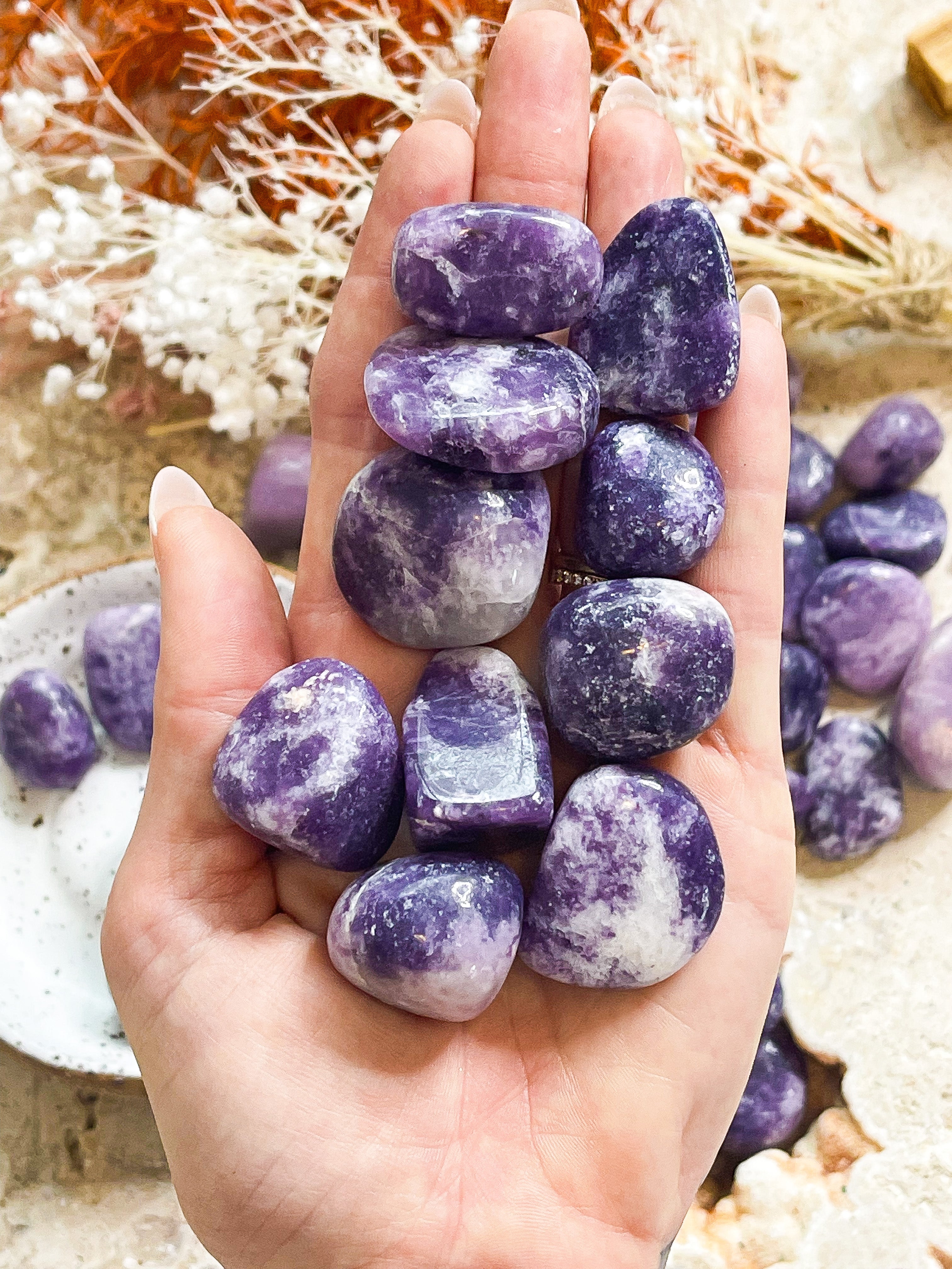 Lepidolite Tumbled // Calming + Stabilising + Healing