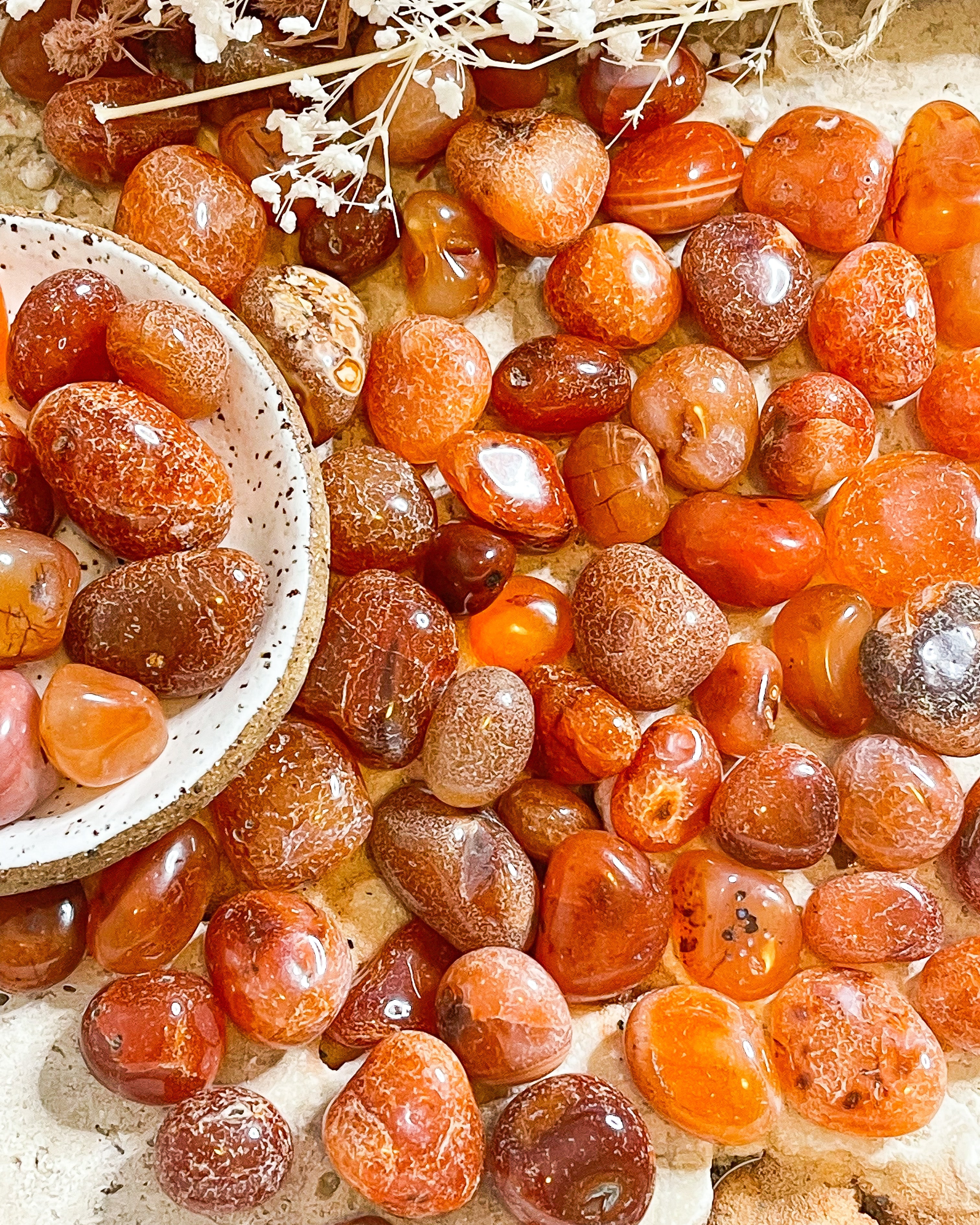 Carnelian Tumbled // Transformation + Creativity + Motivation