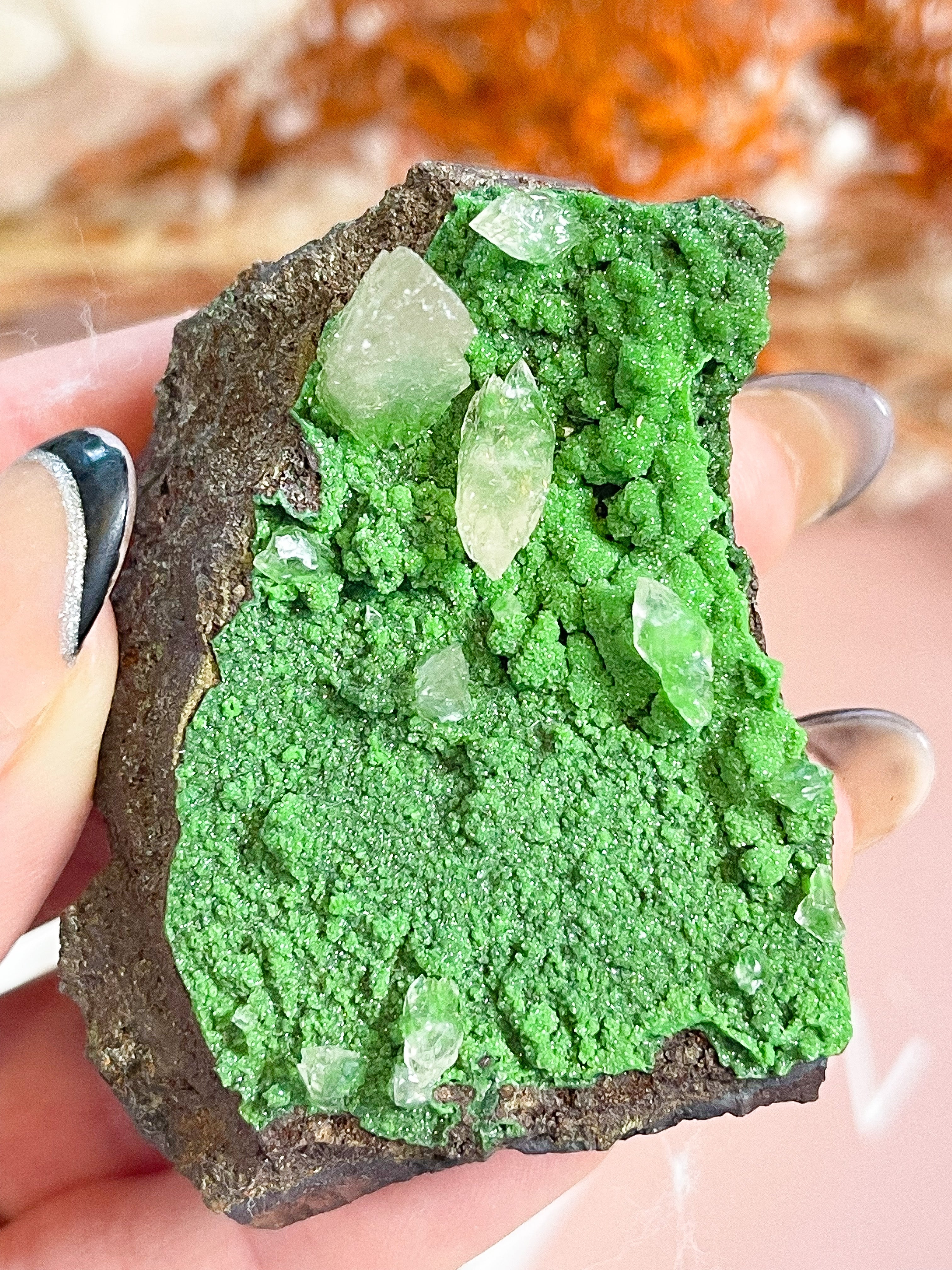 Conichalcite Specimen // Mexico // Intuition + Stability + Balance